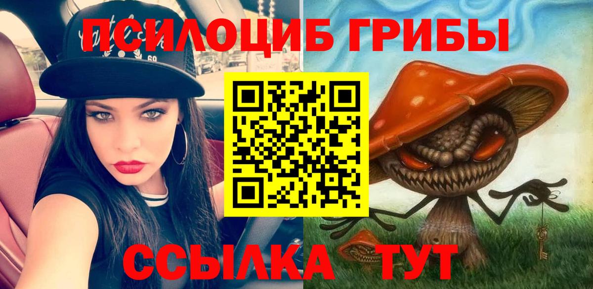 Псилоцибиновые грибы Psilocybine cubensis Красноармейск